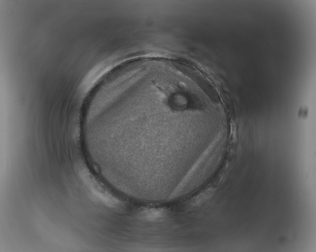 X0000110930247200907021529