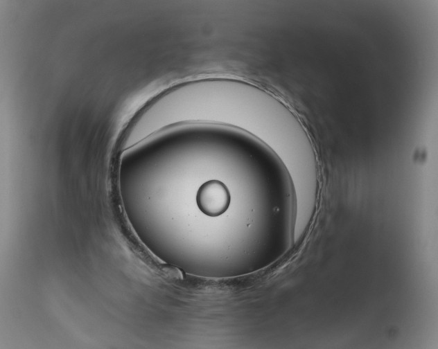 X0000110930248200907021529