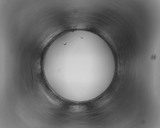 X0000110930251200907021529