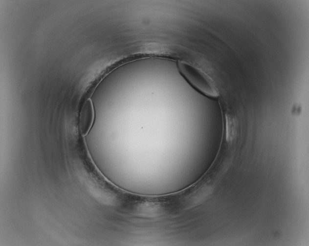 X0000110930252200907021529
