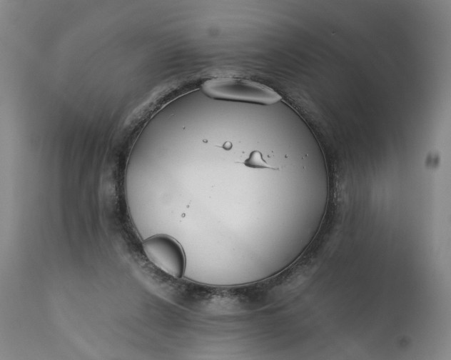 X0000110930256200907021530