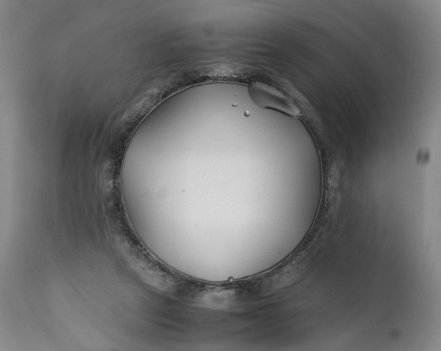X0000110930257200907021530