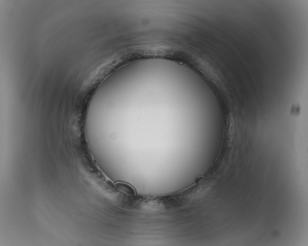 X0000110930258200907021530