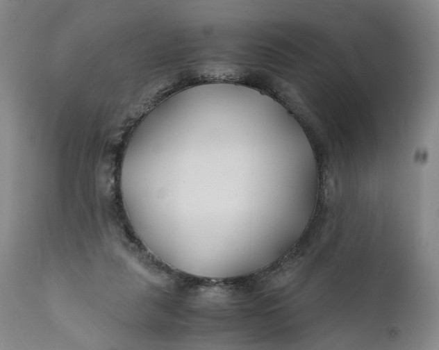 X0000110930259200907021530