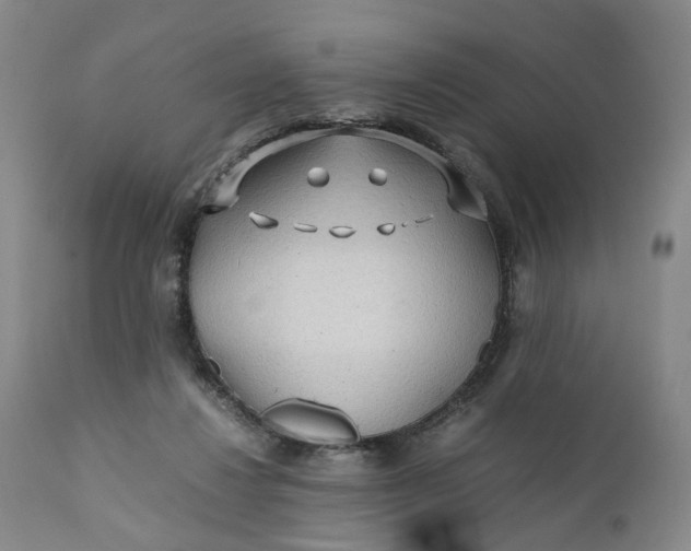 X0000110930260200907021530
