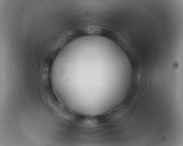 X0000110930263200907021530