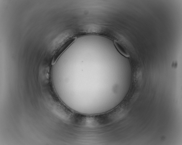 X0000110930264200907021530