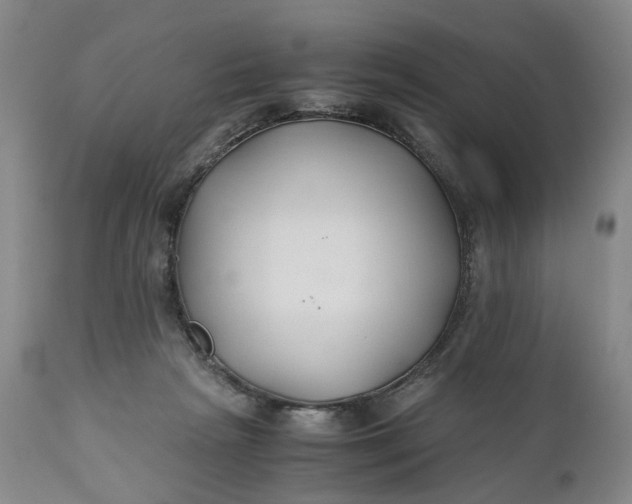 X0000110930265200907021530