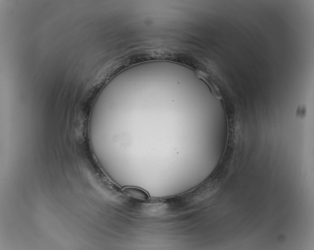 X0000110930266200907021530