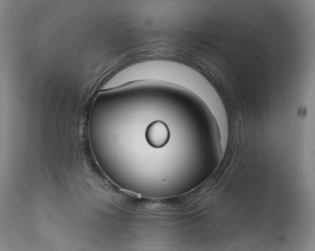 X0000110930268200907021530