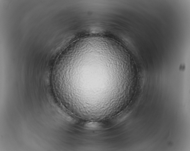 X0000110930269200907021530