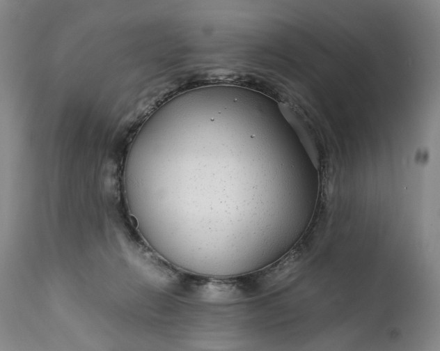 X0000110930270200907021530