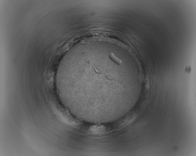 X0000110930271200907021530
