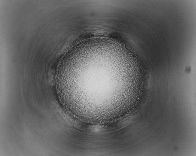 X0000110930273200907021530