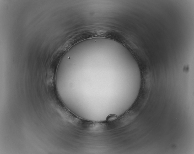 X0000110930274200907021530