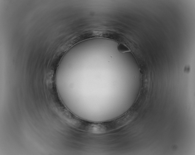 X0000110930275200907021530