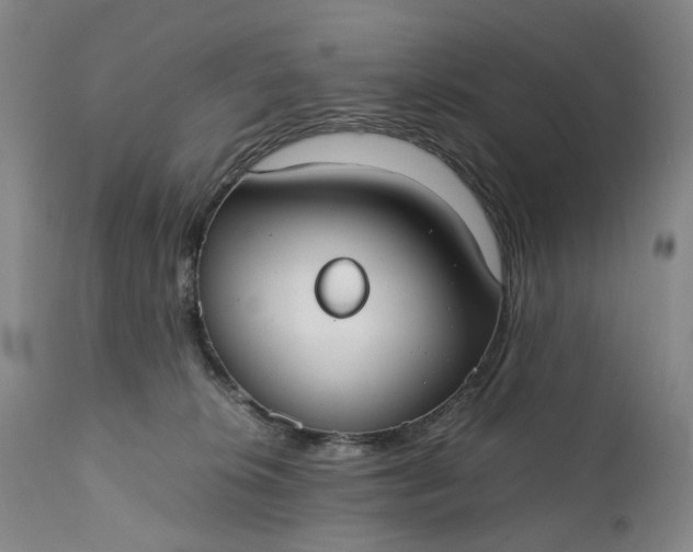 X0000110930276200907021530