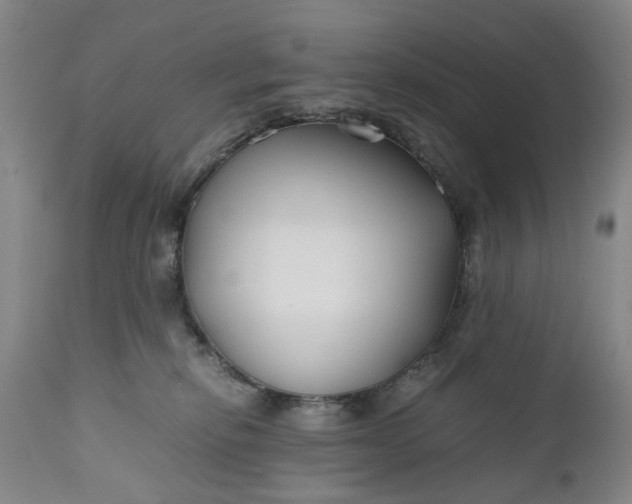 X0000110930278200907021530