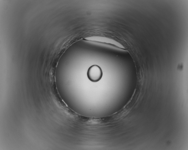 X0000110930280200907021530