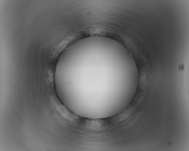 X0000110930282200907021530