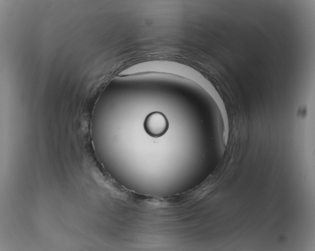 X0000110930284200907021530