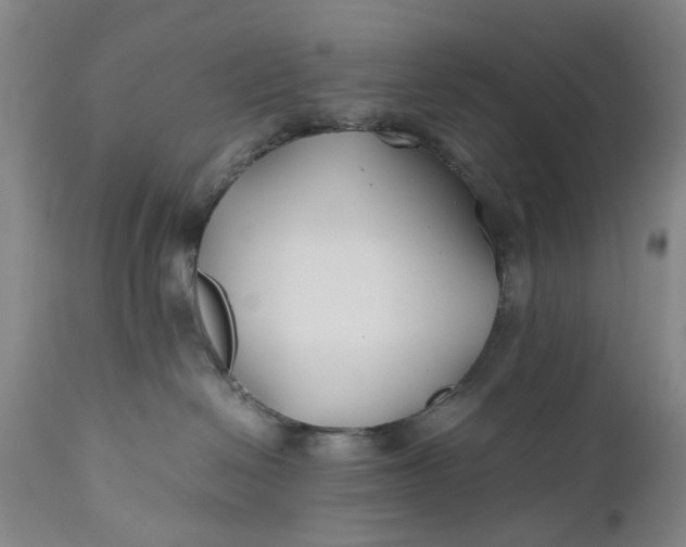 X0000110930286200907021530