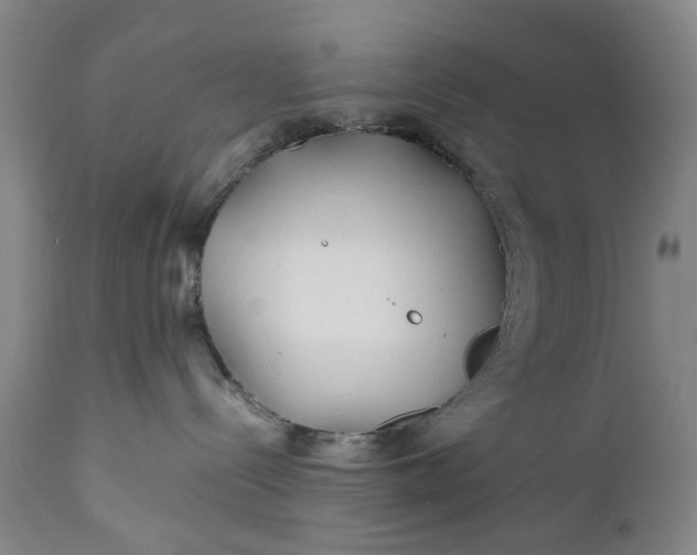 X0000110930288200907021530