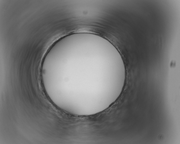 X0000110930289200907021529