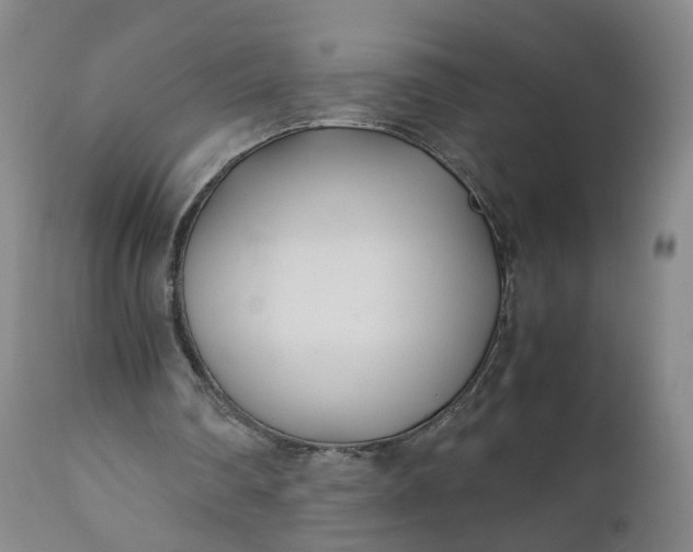X0000110930290200907021529
