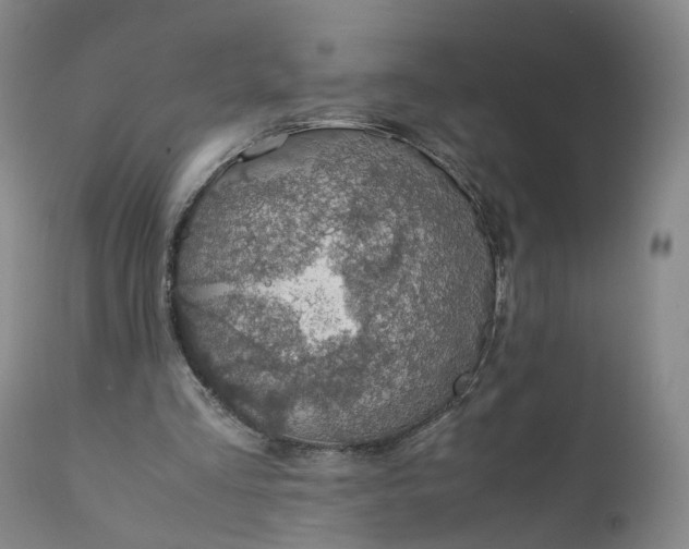X0000110930293200907021529