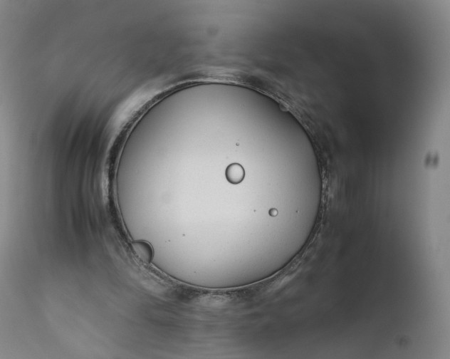 X0000110930294200907021529