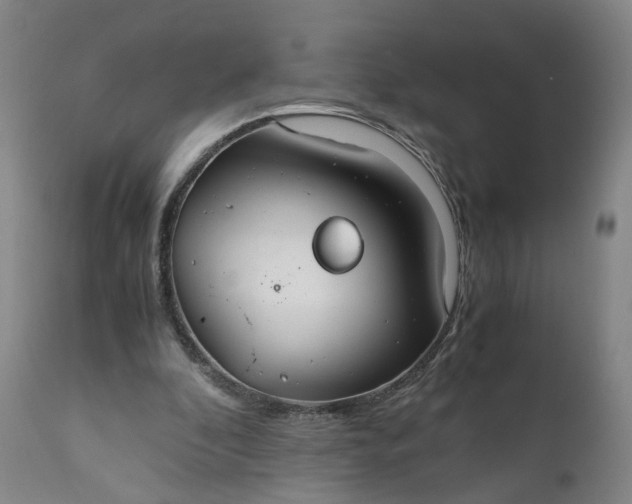 X0000110930296200907021529