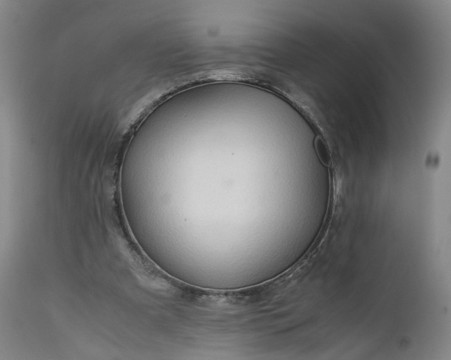 X0000110930297200907021529