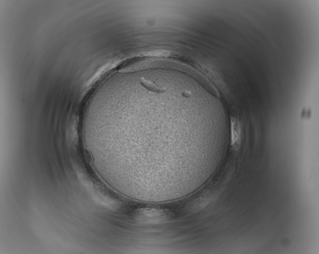 X0000110930300200907021529