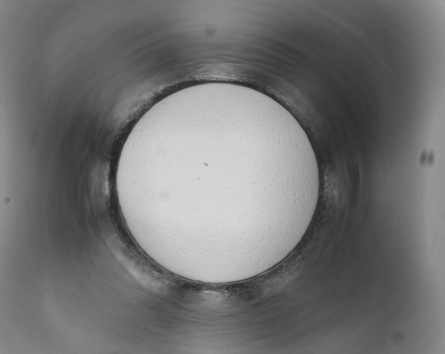 X0000110930302200907021529