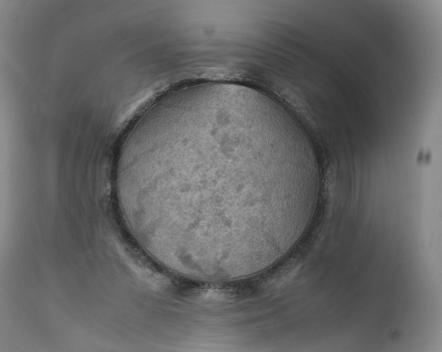 X0000110930303200907021529