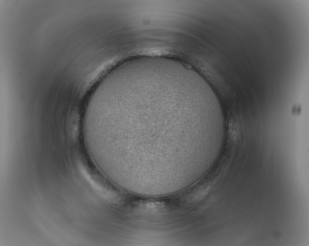X0000110930304200907021529