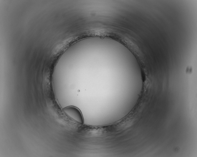 X0000110930306200907021529