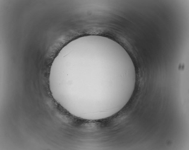 X0000110930307200907021529