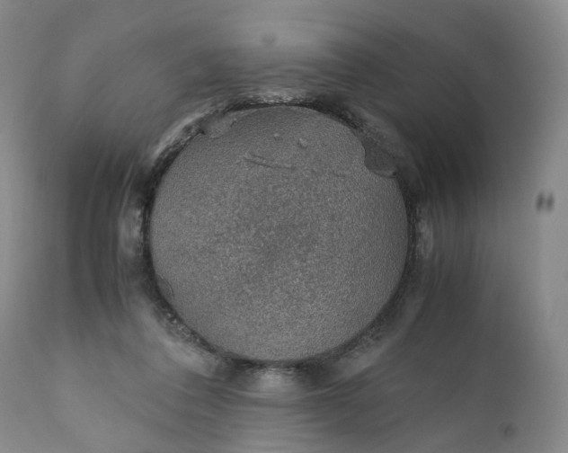 X0000110930308200907021529