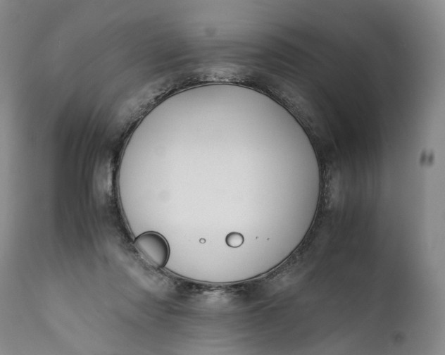 X0000110930310200907021529