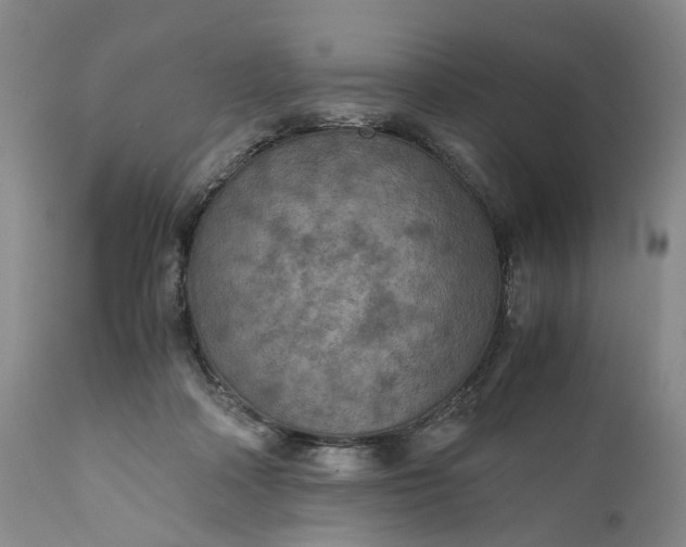 X0000110930314200907021529