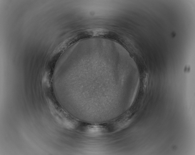 X0000110930316200907021529