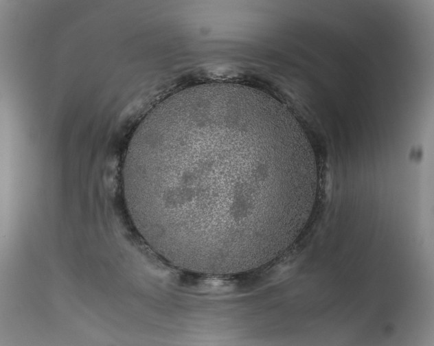 X0000110930319200907021529