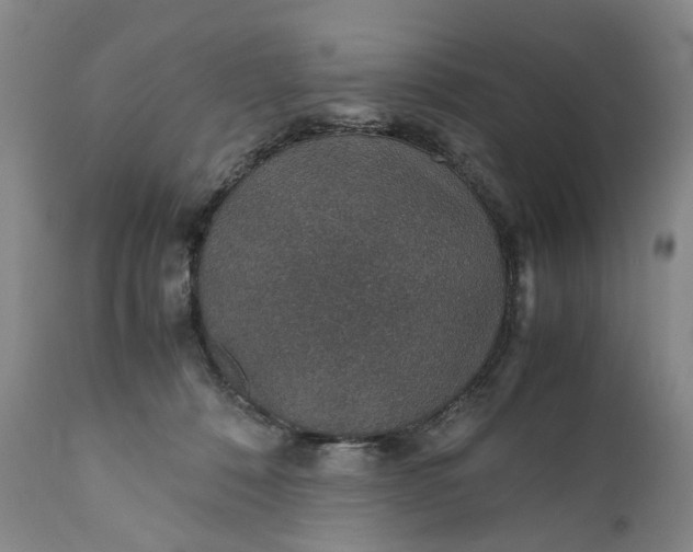 X0000110930320200907021529