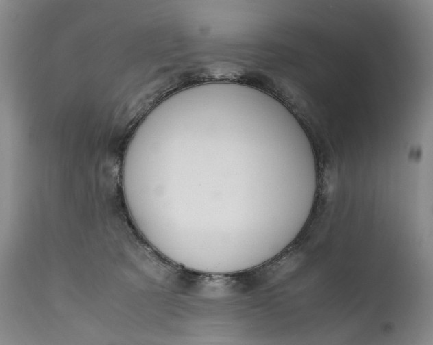 X0000110930321200907021529