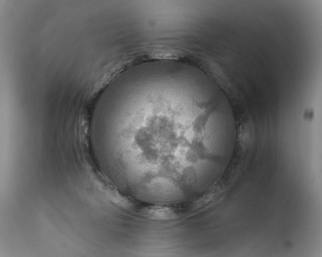 X0000110930322200907021529