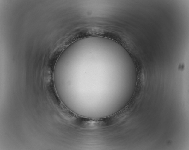 X0000110930323200907021529