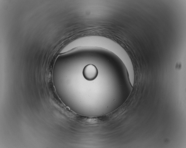 X0000110930324200907021529