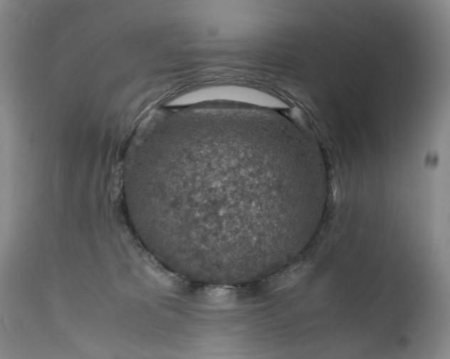 X0000110930325200907021529